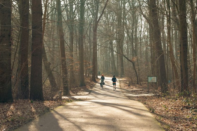 A person walking through a sunny park